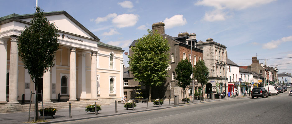 Naas town centre, only a few minutes walk from the house